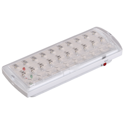 Светильник аварийный ДПА 2101, аккумулятор, 4ч, 30LED, IP20,